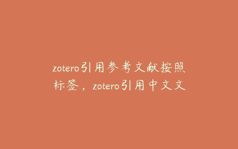 zotero引用参考文献按照标签,zotero引用中文文献