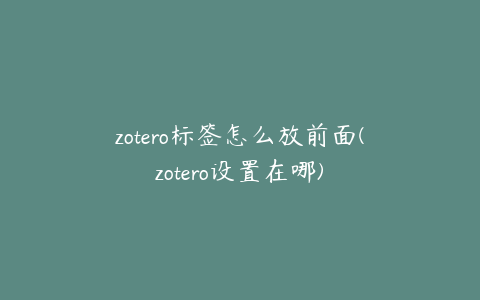 zotero标签怎么放前面(zotero设置在哪)
