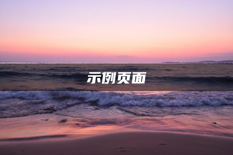 示例页面