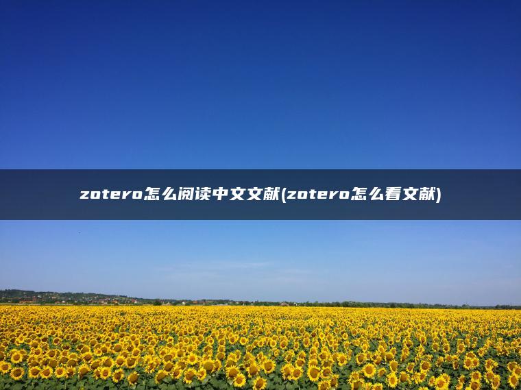zotero怎么阅读中文文献(zotero怎么看文献)