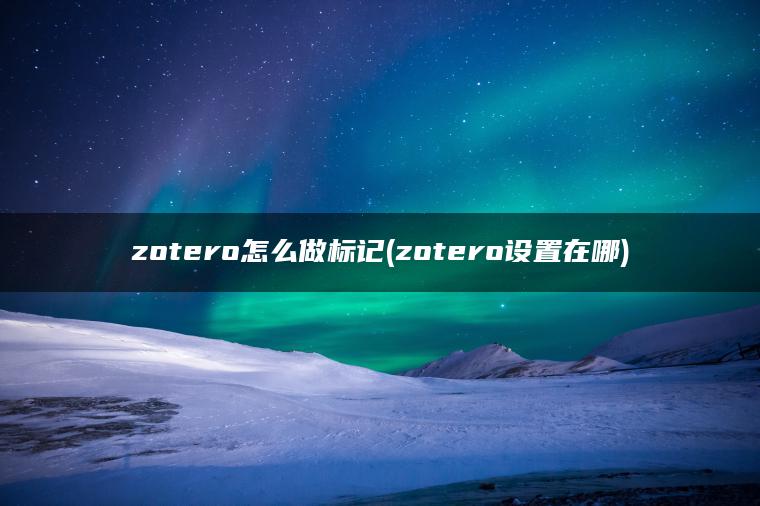 zotero怎么做标记(zotero设置在哪)