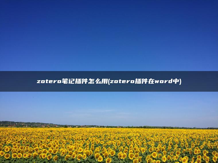 zotero笔记插件怎么用(zotero插件在word中)