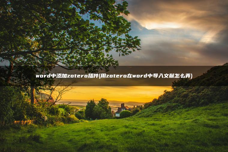 word中添加zotero插件(用zotero在word中导入文献怎么弄)