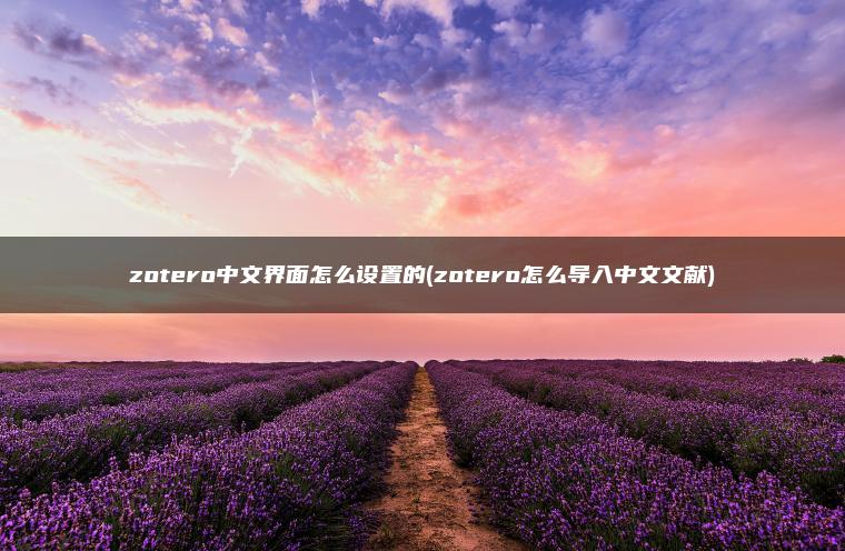 zotero中文界面怎么设置的(zotero怎么导入中文文献)