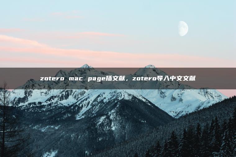 zotero mac page插文献，zotero导入中文文献