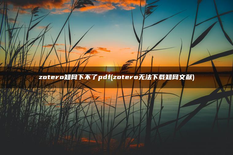 zotero知网下不了pdf(zotero无法下载知网文献)