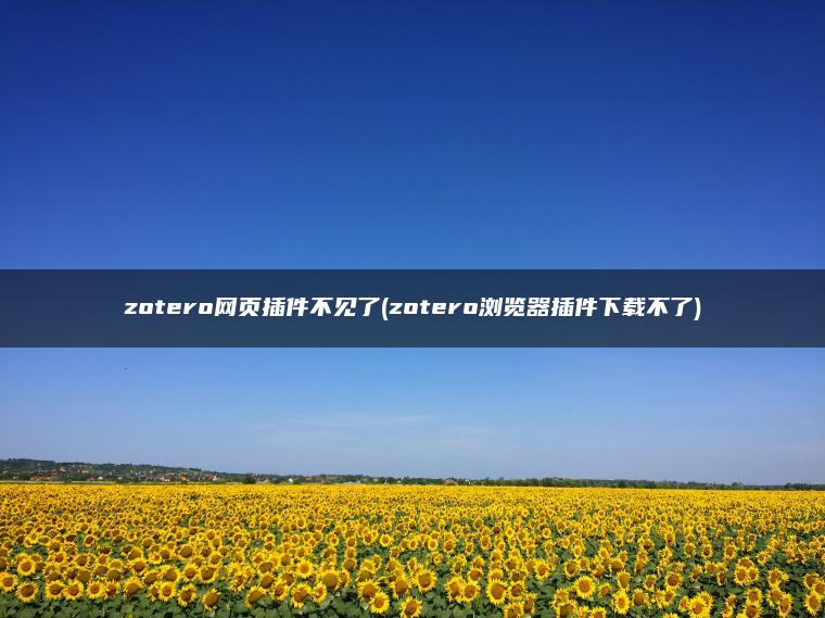 zotero网页插件不见了(zotero浏览器插件下载不了)