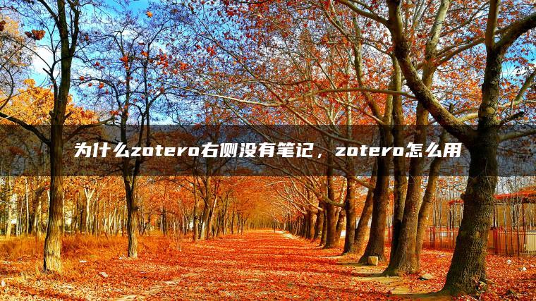 为什么zotero右侧没有笔记，zotero怎么用
