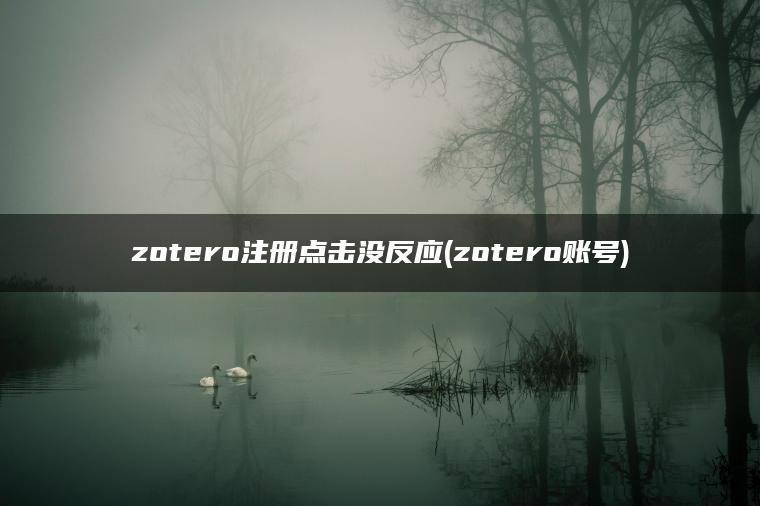 zotero注册点击没反应(zotero账号)