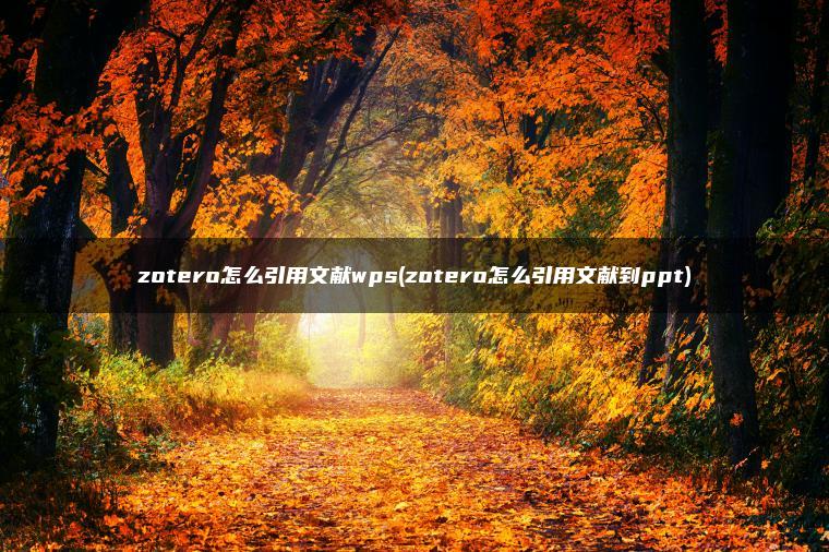 zotero怎么引用文献wps(zotero怎么引用文献到ppt)