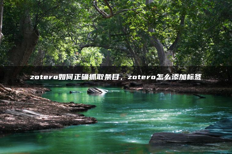 zotero如何正确抓取条目，zotero怎么添加标签