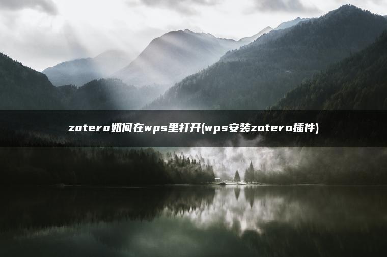 zotero如何在wps里打开(wps安装zotero插件)