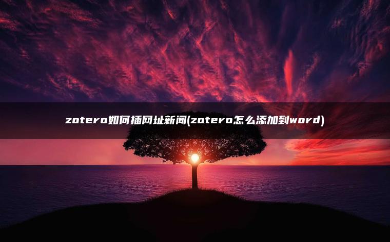 zotero如何插网址新闻(zotero怎么添加到word)