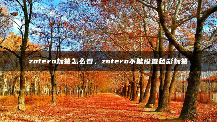 zotero标签怎么看，zotero不能设置色彩标签