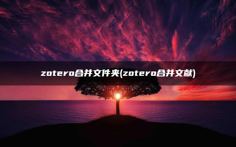 zotero合并文件夹(zotero合并文献)