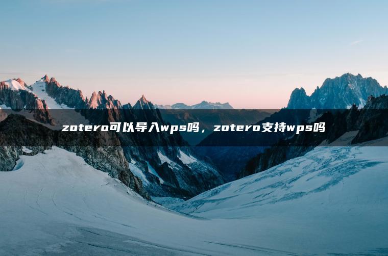 zotero可以导入wps吗，zotero支持wps吗