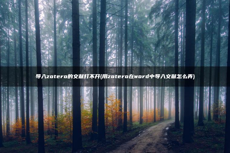 导入zotero的文献打不开(用zotero在word中导入文献怎么弄)