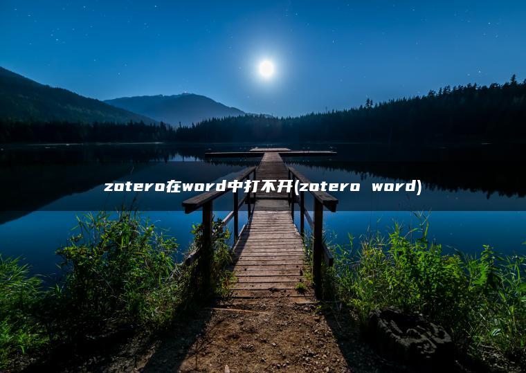 zotero在word中打不开(zotero word)
