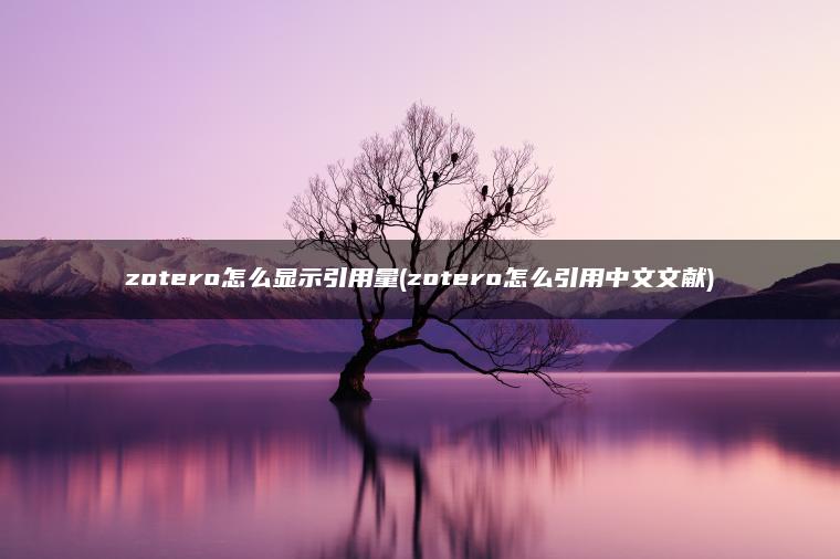zotero怎么显示引用量(zotero怎么引用中文文献)