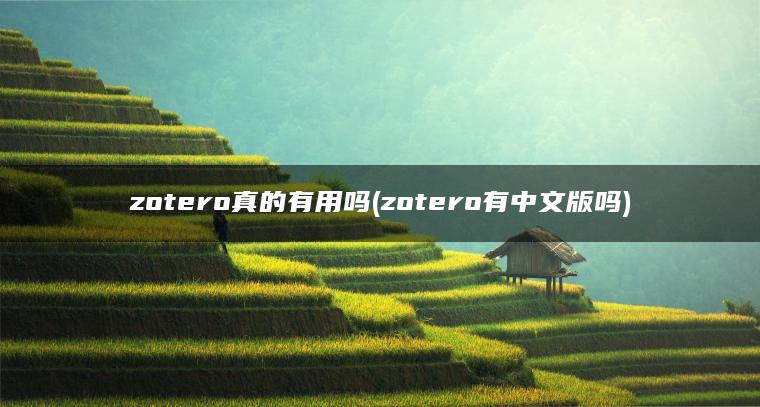 zotero真的有用吗(zotero有中文版吗)