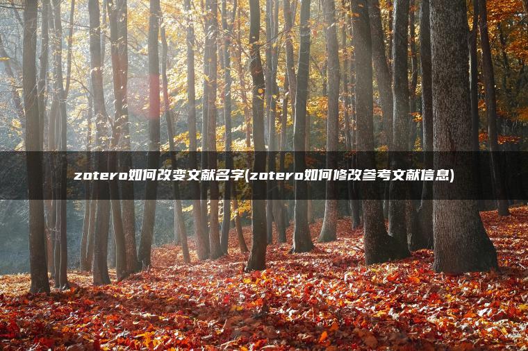 zotero如何改变文献名字(zotero如何修改参考文献信息)