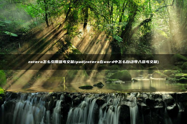 zotero怎么引用参考文献ipad(zotero在word中怎么自动导入参考文献)