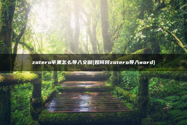 zotero苹果怎么导入文献(如何将zotero导入word)