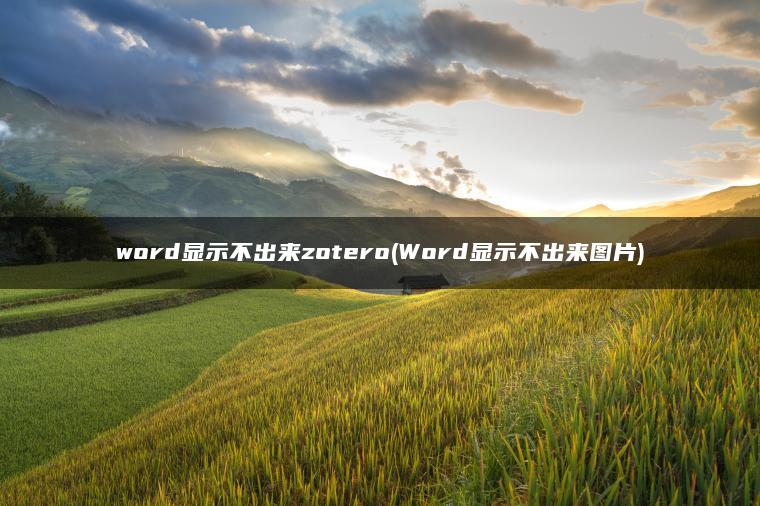 word显示不出来zotero(Word显示不出来图片)