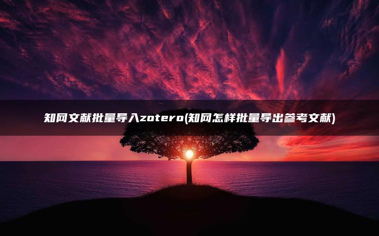 知网文献批量导入zotero(知网怎样批量导出参考文献)