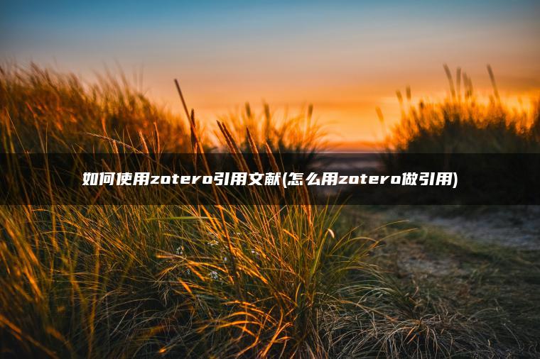 如何使用zotero引用文献(怎么用zotero做引用)