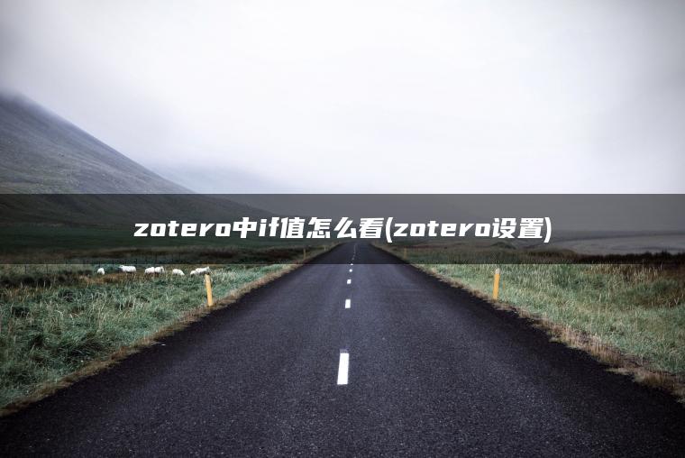 zotero中if值怎么看(zotero设置)