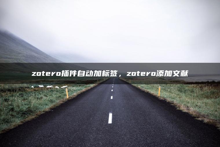 zotero插件自动加标签，zotero添加文献