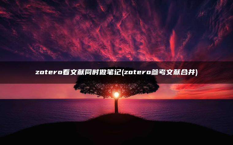 zotero看文献同时做笔记(zotero参考文献合并)