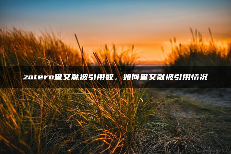 zotero查文献被引用数，如何查文献被引用情况