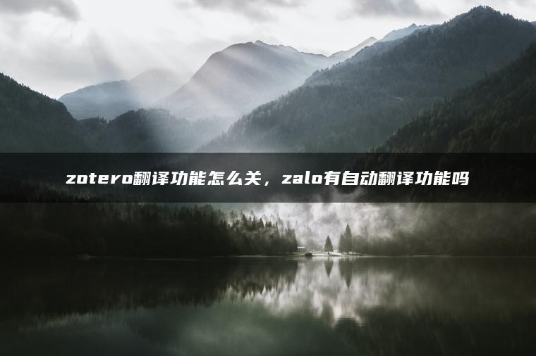 zotero翻译功能怎么关，zalo有自动翻译功能吗