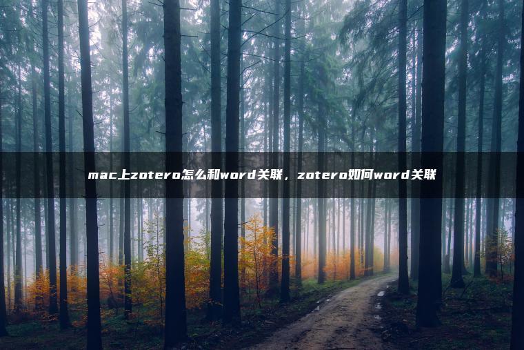 mac上zotero怎么和word关联，zotero如何word关联
