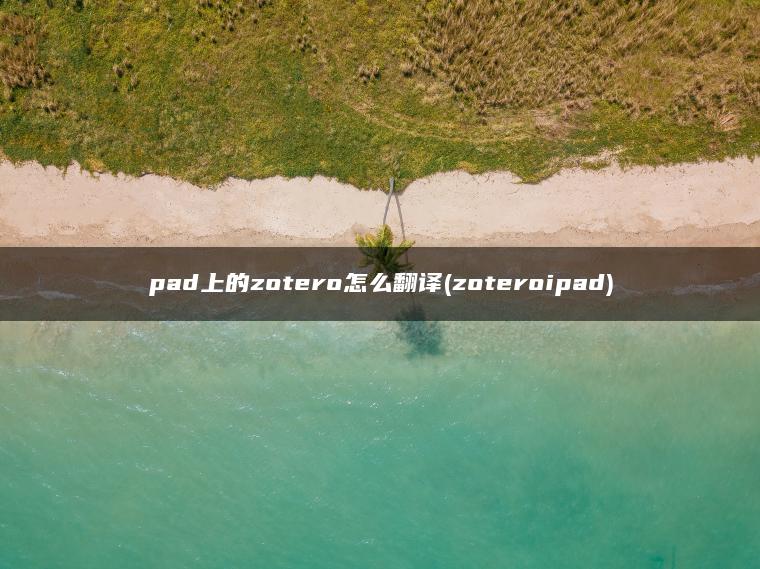 pad上的zotero怎么翻译(zoteroipad)