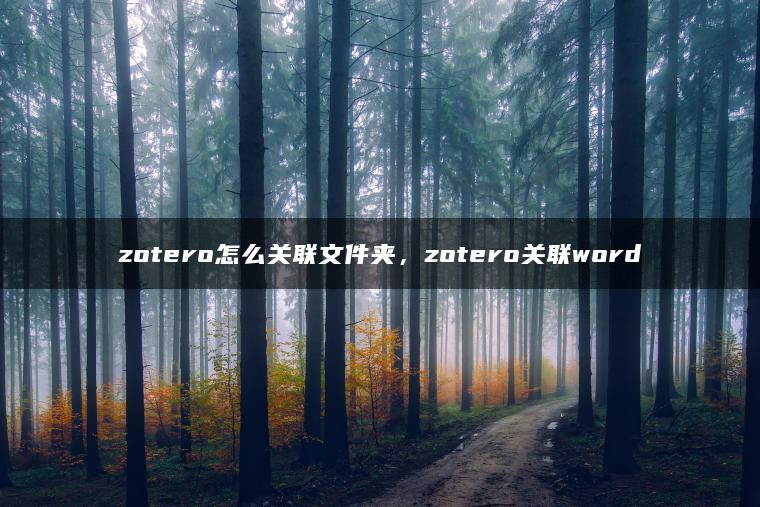 zotero怎么关联文件夹，zotero关联word