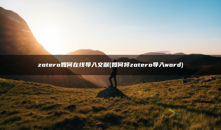 zotero如何在线导入文献(如何将zotero导入word)