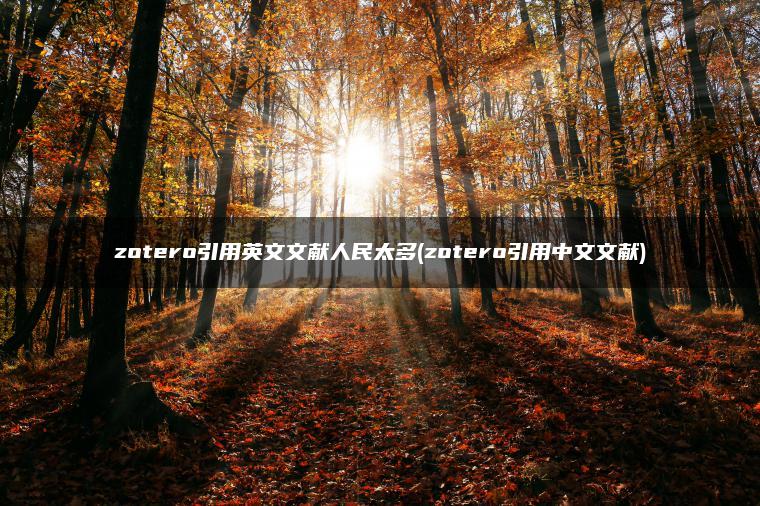 zotero引用英文文献人民太多(zotero引用中文文献)