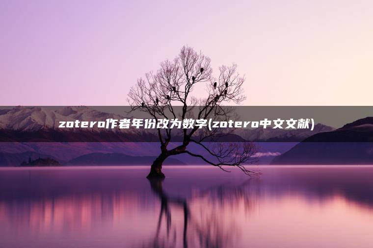 zotero作者年份改为数字(zotero中文文献)
