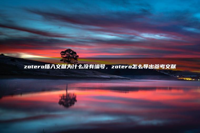 zotero插入文献为什么没有编号，zotero怎么导出参考文献