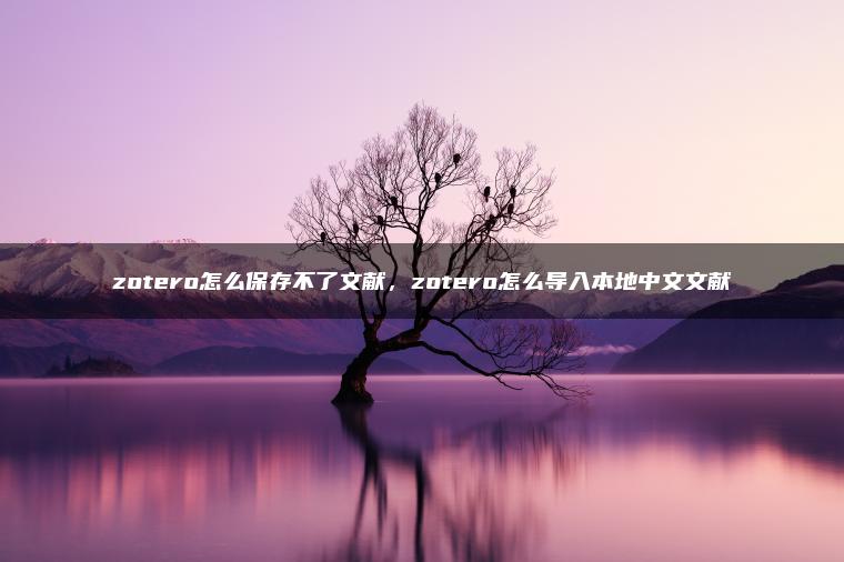 zotero怎么保存不了文献，zotero怎么导入本地中文文献