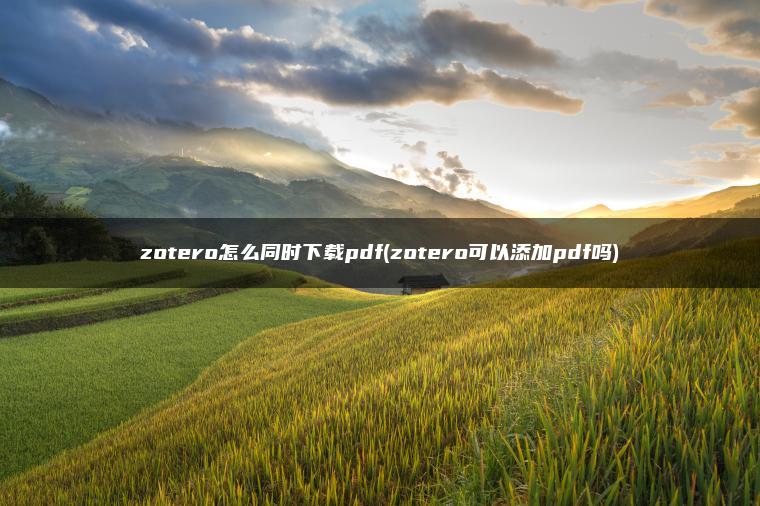 zotero怎么同时下载pdf(zotero可以添加pdf吗)