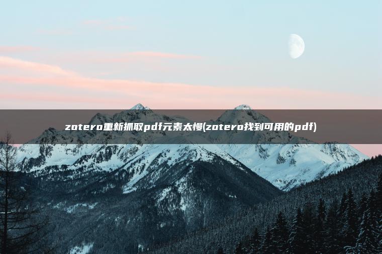 zotero重新抓取pdf元素太慢(zotero找到可用的pdf)