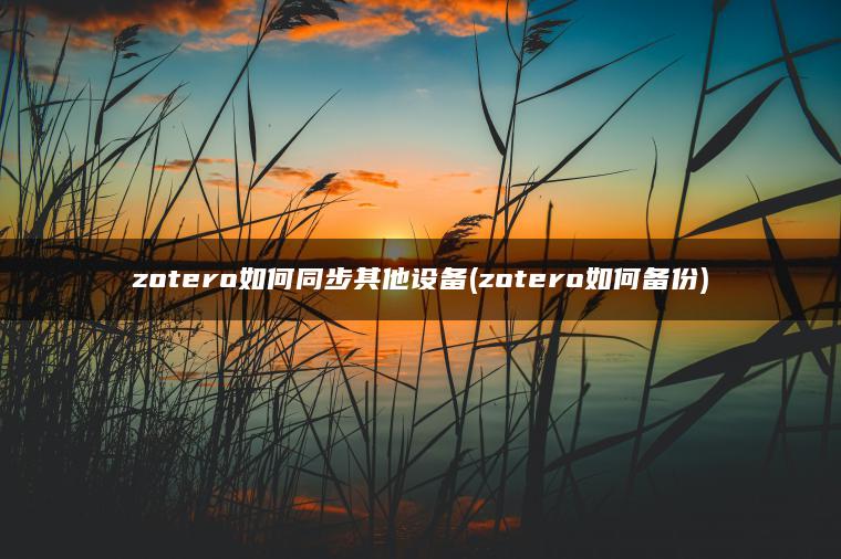 zotero如何同步其他设备(zotero如何备份)