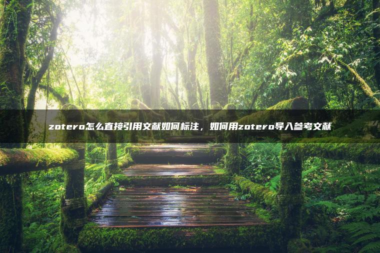 zotero怎么直接引用文献如何标注，如何用zotero导入参考文献