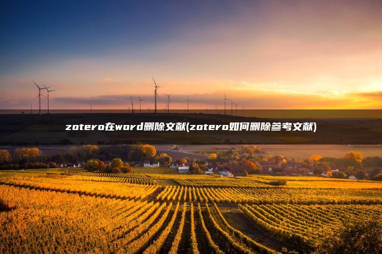 zotero在word删除文献(zotero如何删除参考文献)