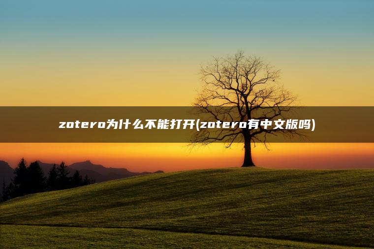 zotero为什么不能打开(zotero有中文版吗)