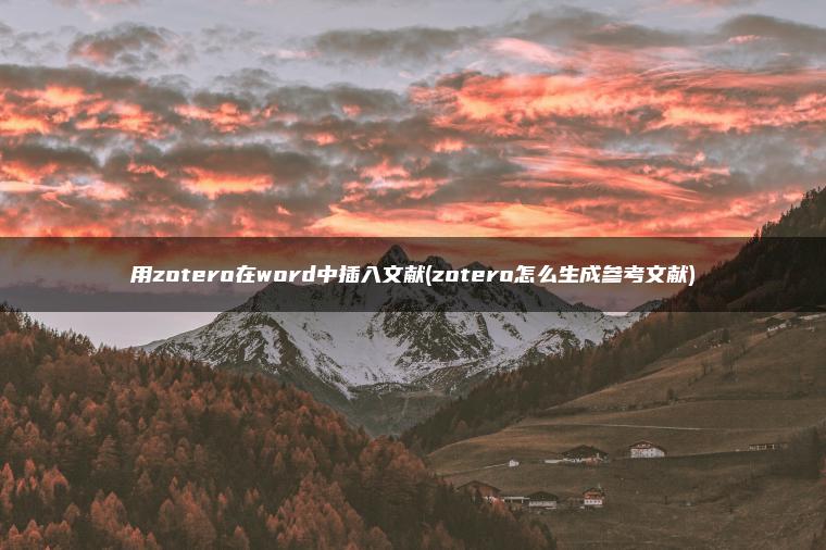 用zotero在word中插入文献(zotero怎么生成参考文献)